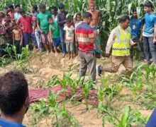 ঠাকুরগাঁওয়ে ভুট্টাক্ষেতে মিলল নারীর মরদেহ