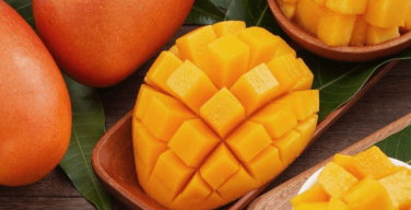 Can a Bearded Dragon Eat Mango