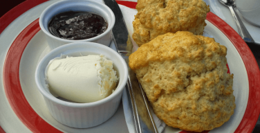 Scone Nutrition